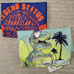 Children's place boy size 10/12 tees Short Sleeve Shirt Summer Spring